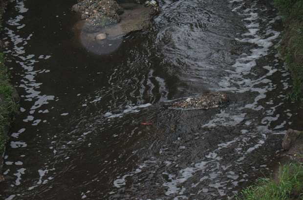 �h��֧����Ⱦ ���ִ����ˮ�²�