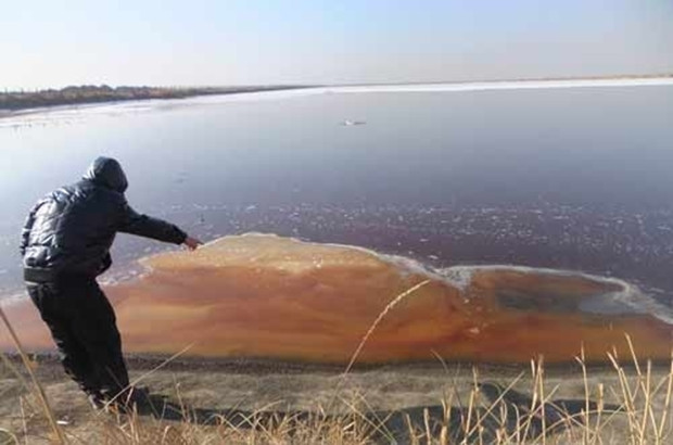 �_����ˎ�Sˮ��Ⱦ��8��δ���Σ�