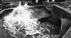 �h(hu��n)������ȥ��ȫ��(gu��)�h(hu��n)���|(zh��)���������� ˮ��Ⱦ��ͻ��