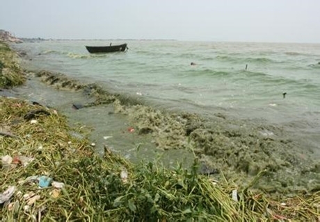 江蘇鹽城水污染事件