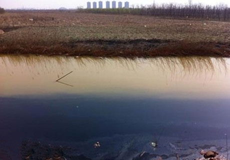 天津北辰區豐產河污染